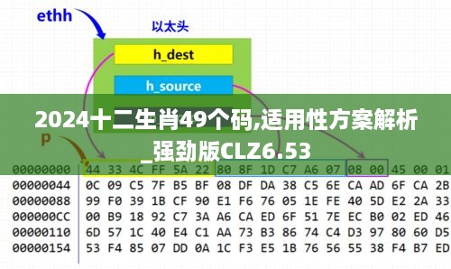 2024十二生肖49个码,适用性方案解析_强劲版CLZ6.53