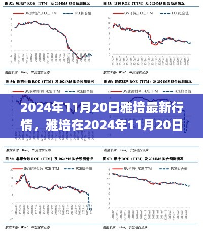 雅培最新行情深度解析，2024年11月20日市场观察与观点阐述