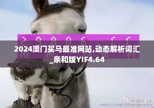 2024澳门买马最准网站,动态解析词汇_亲和版YIF4.64