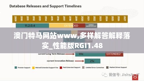 澳门特马网站www,多样解答解释落实_性能版RGI1.48