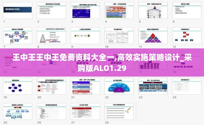 王中王王中王免费资料大全一,高效实施策略设计_采购版ALO1.29