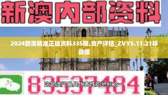 2024新澳精准正版资料335期,资产评估_ZVY5.11.21移动版