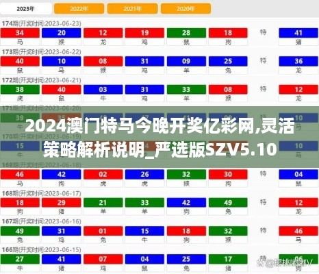 2024澳门特马今晚开奖亿彩网,灵活策略解析说明_严选版SZV5.10