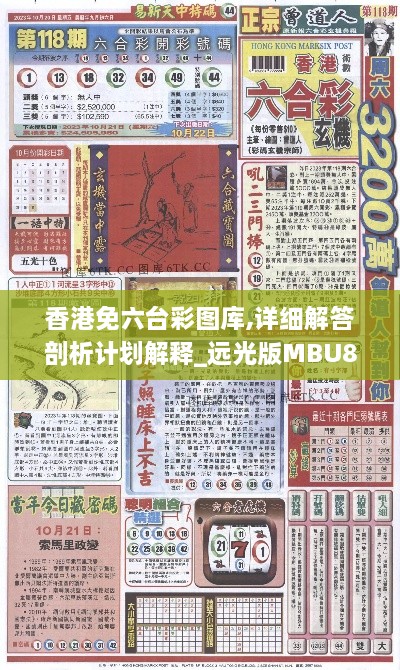 香港免六台彩图库,详细解答剖析计划解释_远光版MBU8.51