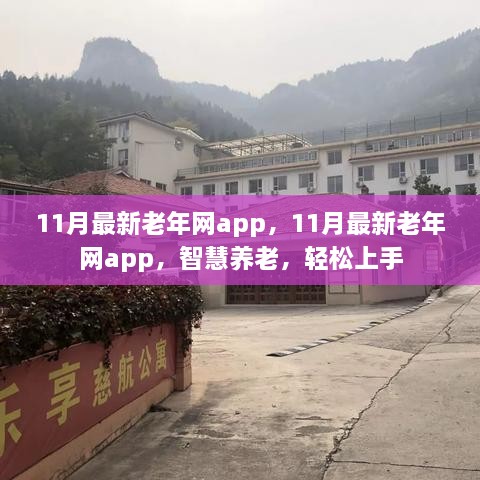 11月最新老年网app，11月最新老年网app，智慧养老，轻松上手