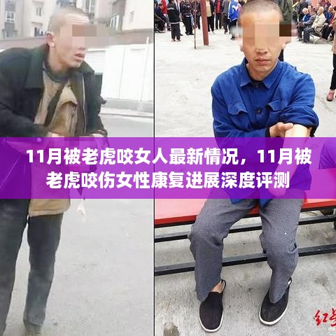 11月老虎咬人事件后续，女性受害者康复深度评测与最新情况