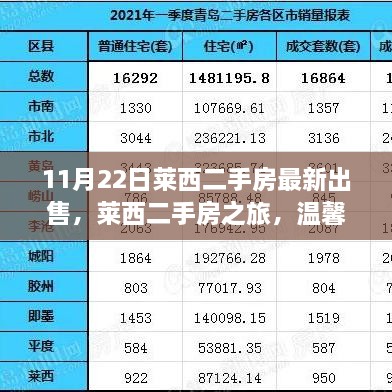 莱西二手房最新出售信息，探寻温馨家园与友情力量的旅程