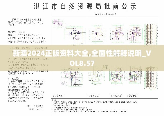 新澳2024正版资料大全,全面性解释说明_VOL8.57