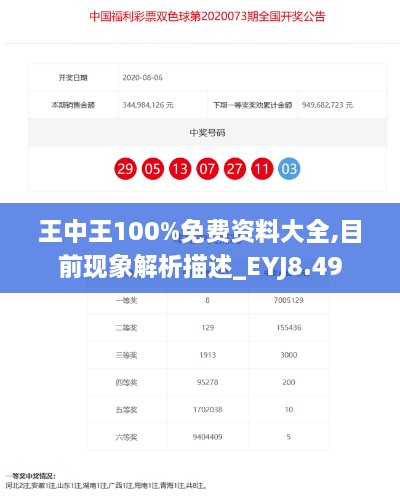 王中王100%免费资料大全,目前现象解析描述_EYJ8.49