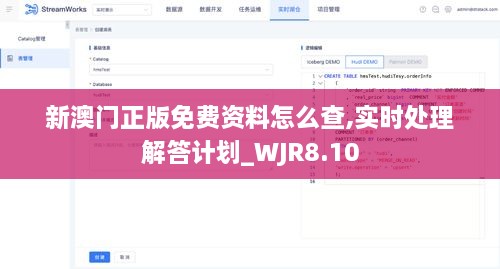 新澳门正版免费资料怎么查,实时处理解答计划_WJR8.10