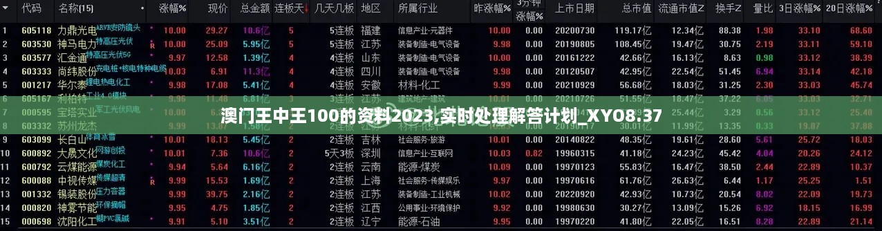 澳门王中王100的资料2023,实时处理解答计划_XYO8.37