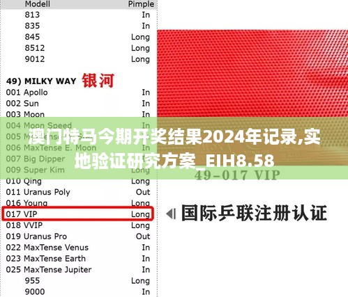 澳门特马今期开奖结果2024年记录,实地验证研究方案_EIH8.58