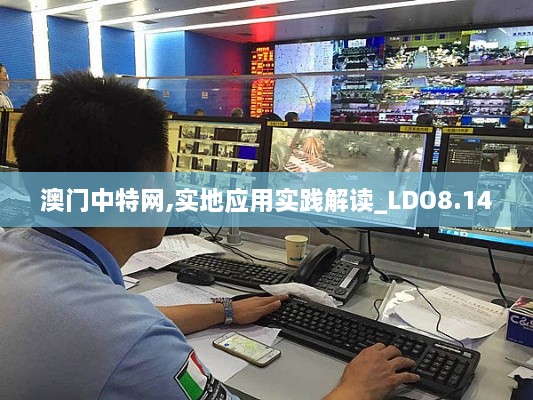 澳门中特网,实地应用实践解读_LDO8.14