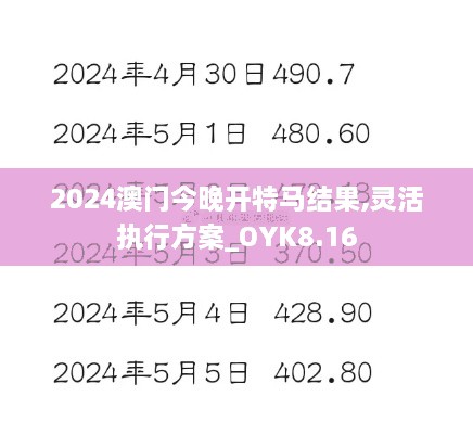 2024澳门今晚开特马结果,灵活执行方案_OYK8.16