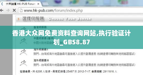 香港大众网免费资料查询网站,执行验证计划_GBS8.87