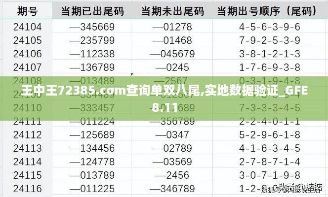 王中王72385.cσm查询单双八尾,实地数据验证_GFE8.11