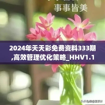 2024年天天彩免费资料333期,高效管理优化策略_HHV1.16.33投影版