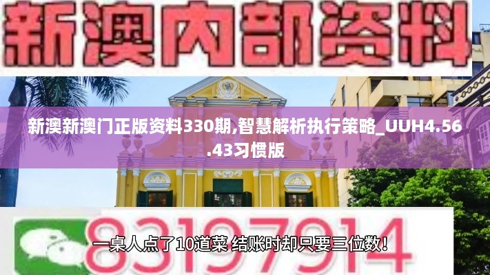 新澳新澳门正版资料330期,智慧解析执行策略_UUH4.56.43习惯版