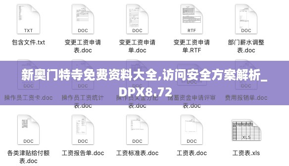 新奥门特寺免费资料大全,访问安全方案解析_DPX8.72