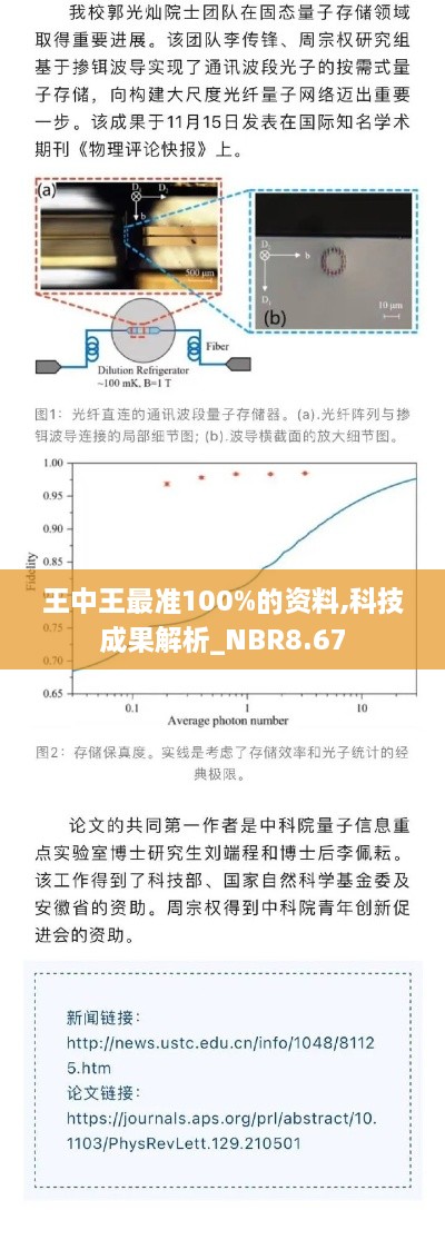 王中王最准100%的资料,科技成果解析_NBR8.67