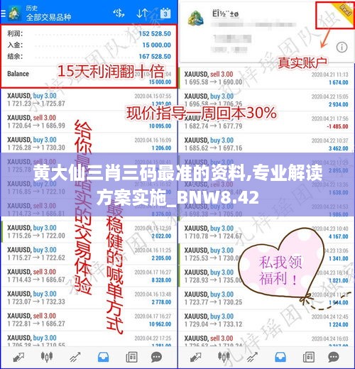 黄大仙三肖三码最准的资料,专业解读方案实施_BNW8.42