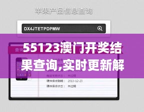 55123澳门开奖结果查询,实时更新解释介绍_FZT8.33