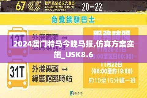 2024澳门特马今晚马报,仿真方案实施_USK8.6