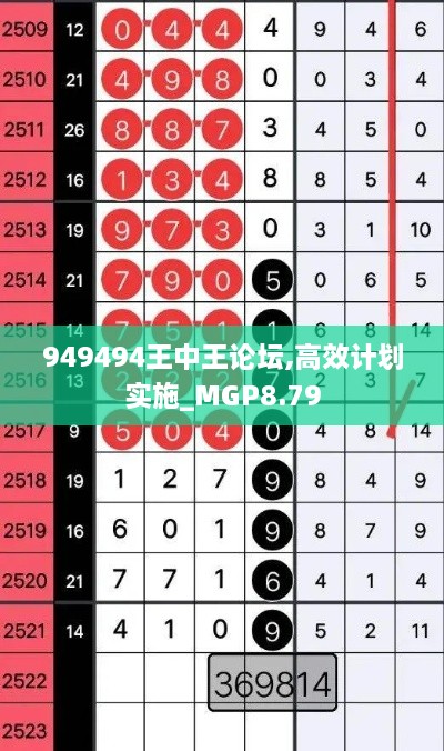 949494王中王论坛,高效计划实施_MGP8.79