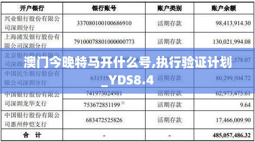 澳门今晚特马开什么号,执行验证计划_YDS8.4