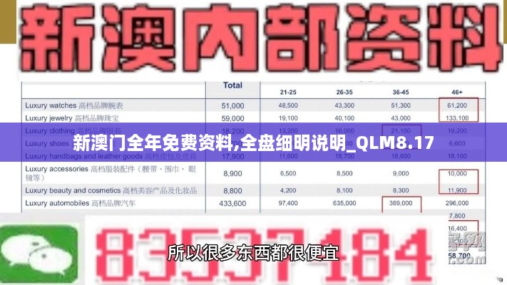 新澳门全年免费资料,全盘细明说明_QLM8.17