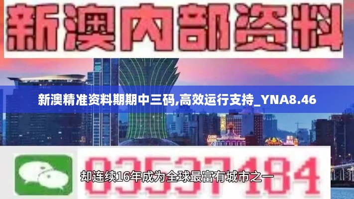 新澳精准资料期期中三码,高效运行支持_YNA8.46