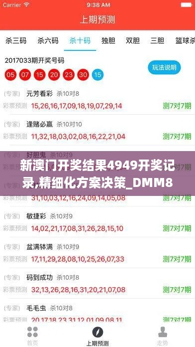 新澳门开奖结果4949开奖记录,精细化方案决策_DMM8.89