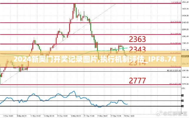 2024新奥门开奖记录图片,执行机制评估_IPF8.74