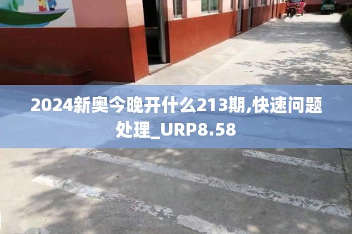 2024新奥今晚开什么213期,快速问题处理_URP8.58