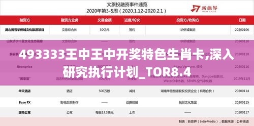 493333王中王中开奖特色生肖卡,深入研究执行计划_TOR8.4