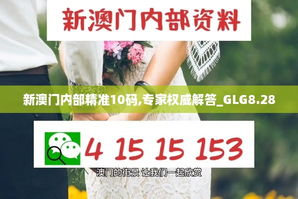 新澳门内部精准10码,专家权威解答_GLG8.28