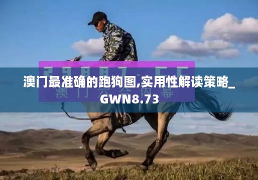 澳门最准确的跑狗图,实用性解读策略_GWN8.73