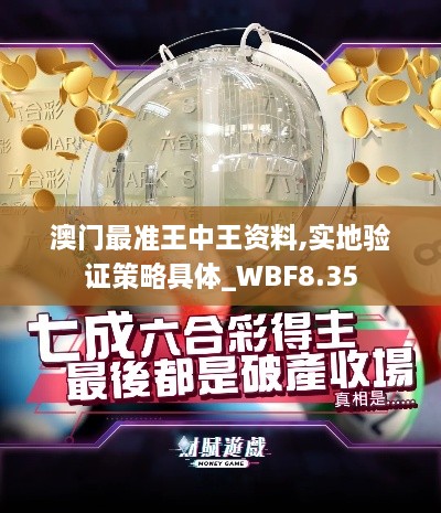 澳门最准王中王资料,实地验证策略具体_WBF8.35