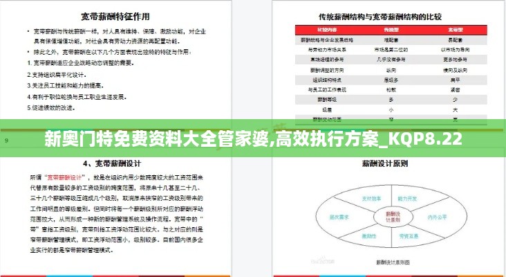 新奥门特免费资料大全管家婆,高效执行方案_KQP8.22