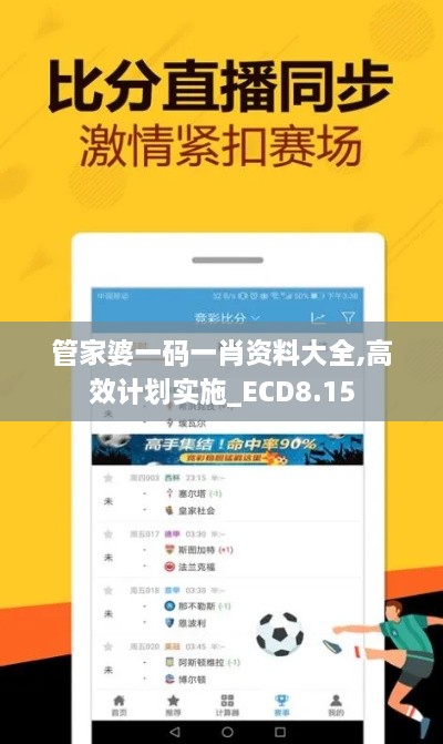 管家婆一码一肖资料大全,高效计划实施_ECD8.15