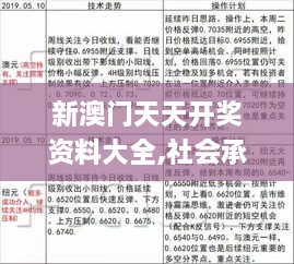 新澳门天天开奖资料大全,社会承担实践战略_DPQ8.74