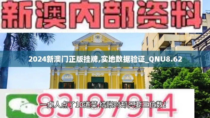 2024新澳门正版挂牌,实地数据验证_QNU8.62