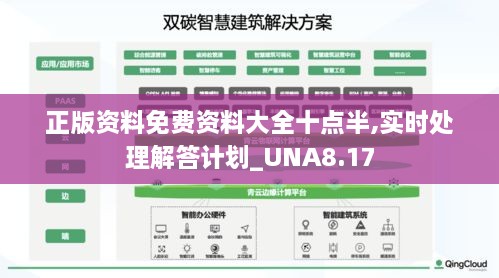 正版资料免费资料大全十点半,实时处理解答计划_UNA8.17