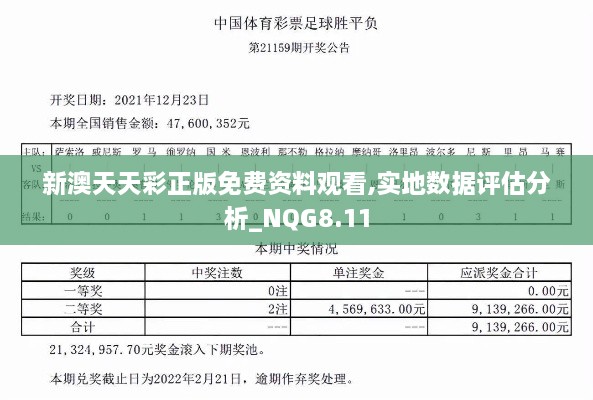 新澳天天彩正版免费资料观看,实地数据评估分析_NQG8.11