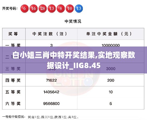 白小姐三肖中特开奖结果,实地观察数据设计_IIG8.45