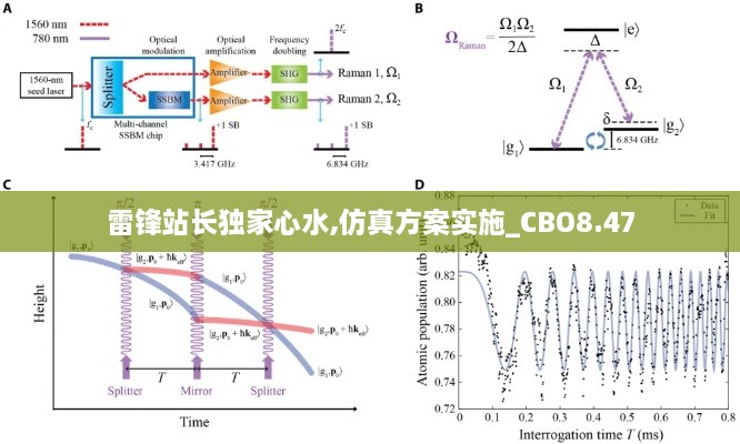 雷锋站长独家心水,仿真方案实施_CBO8.47