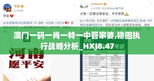 澳门一码一肖一特一中管家婆,稳固执行战略分析_HXJ8.47