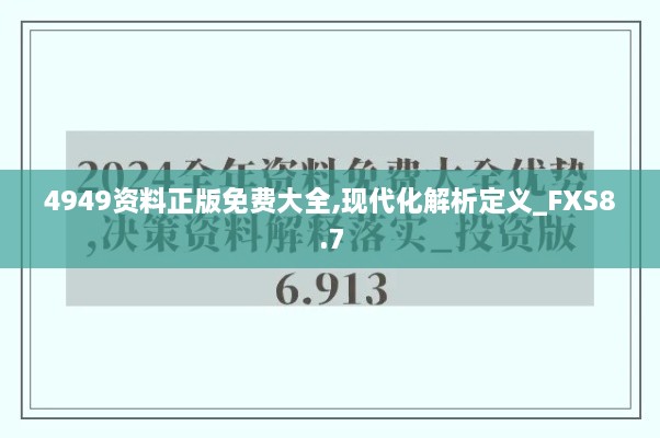 4949资料正版免费大全,现代化解析定义_FXS8.7