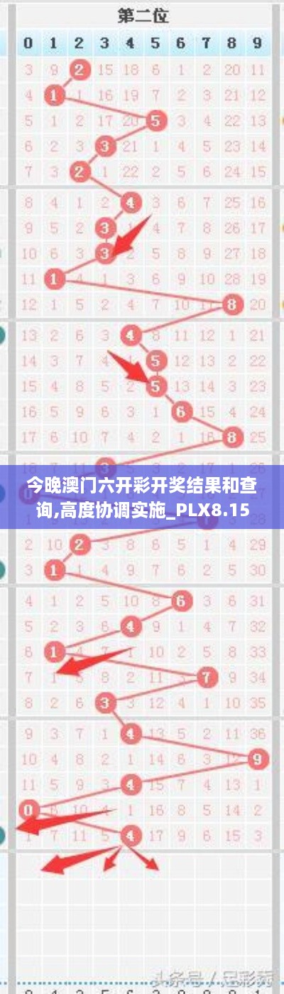 今晚澳门六开彩开奖结果和查询,高度协调实施_PLX8.15