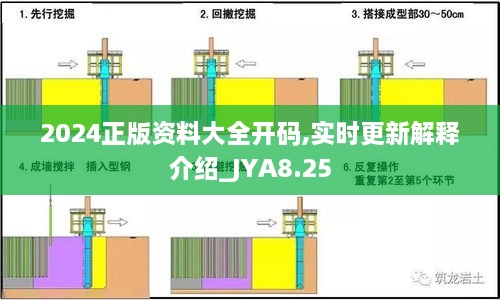 2024正版资料大全开码,实时更新解释介绍_JYA8.25